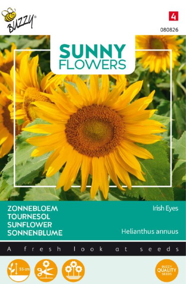 Sunflower Irish Eyes (Helianthus) 45 seeds BU